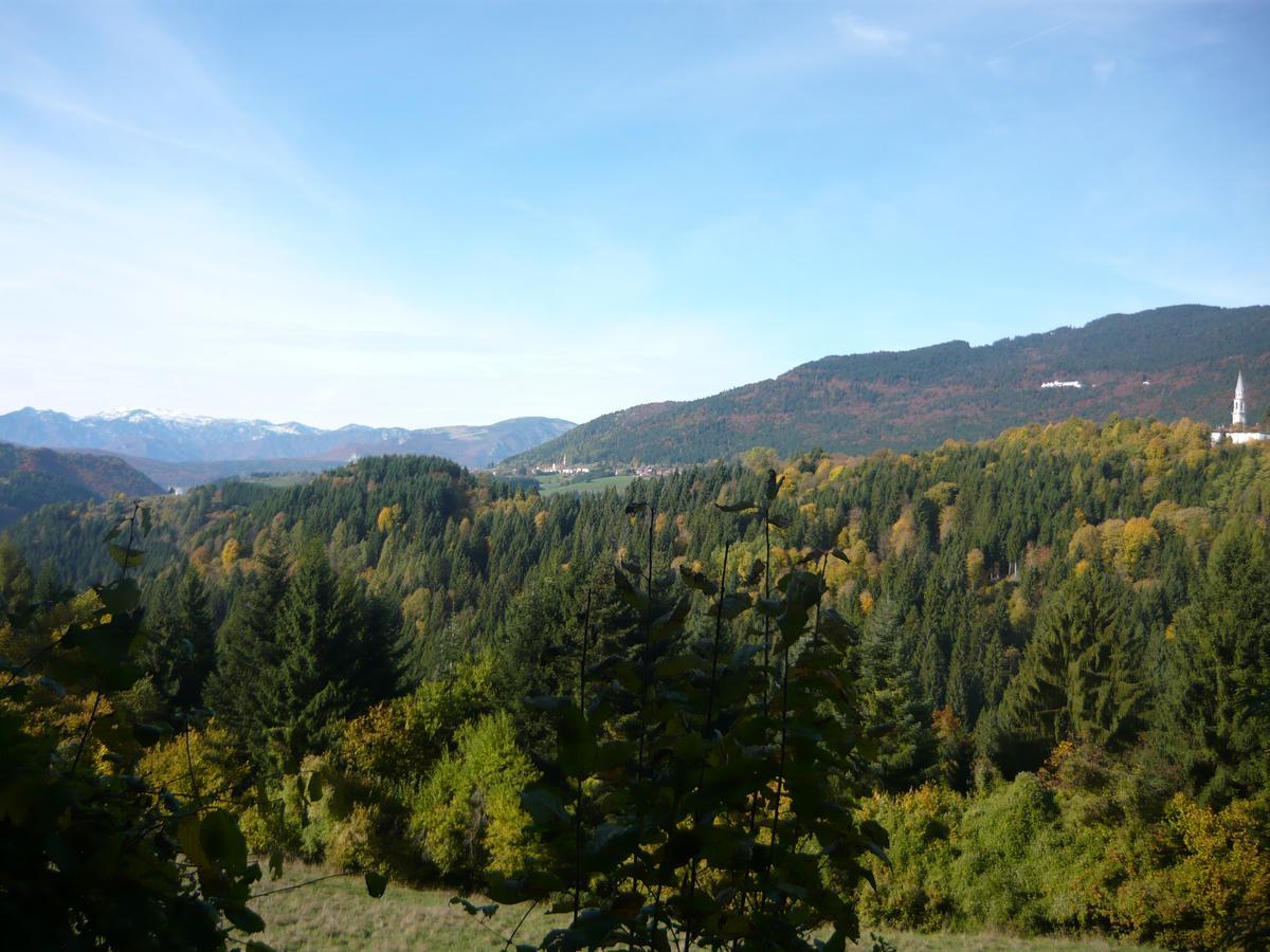 Hotel Belvedere Roana Exteriör bild