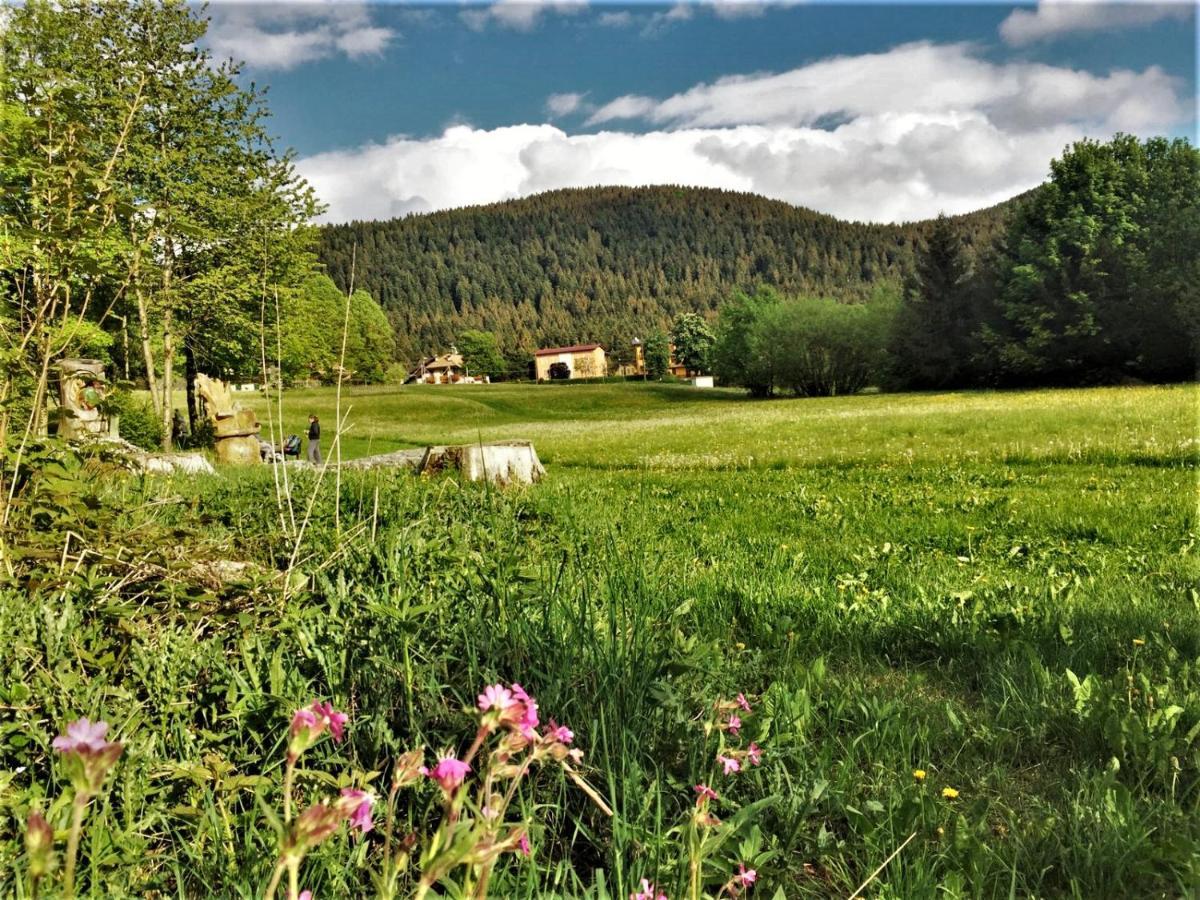 Hotel Belvedere Roana Exteriör bild